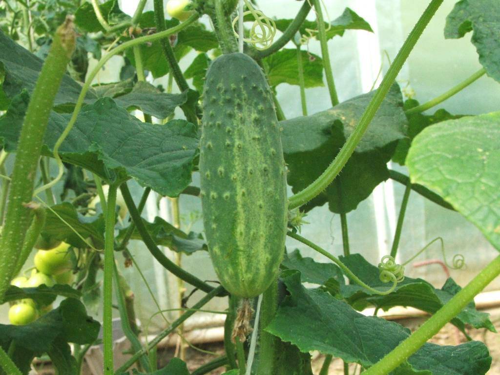 ''''