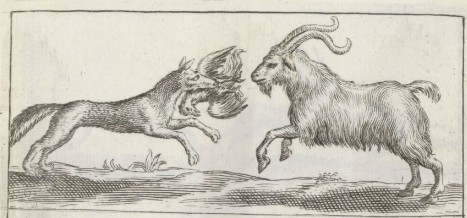 Ram Rijksmuseum Prent